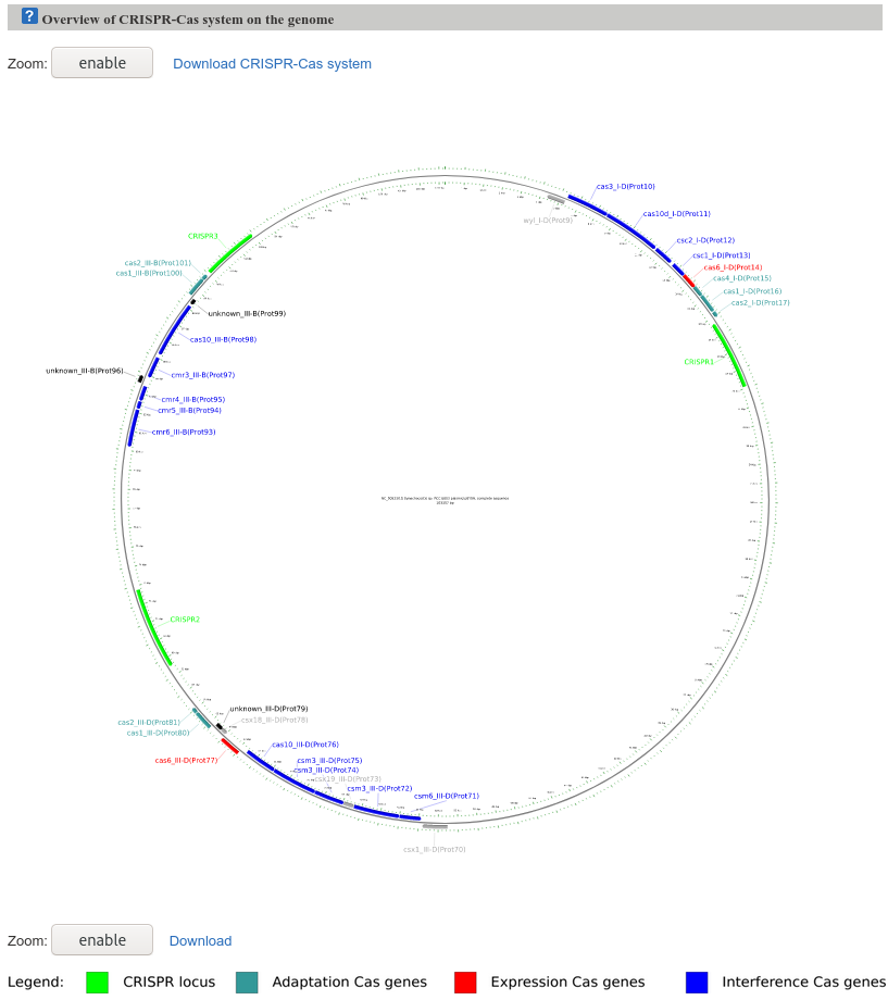 Circular map of CRISPRloci webserver output