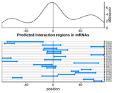 Query RNA region plot