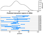 Target RNA region plot