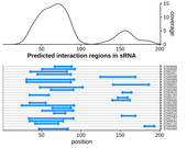 Target RNA region plot