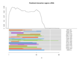 sRNA regions plot