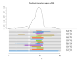 sRNA regions plot