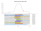 sRNA regions plot