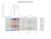 sRNA regions plot