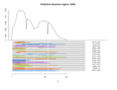 sRNA regions plot