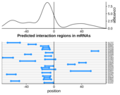 Query RNA region plot