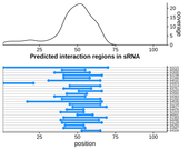 Target RNA region plot