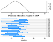 Target RNA region plot