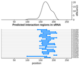 Target RNA region plot