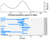 Target RNA region plot