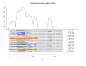 sRNA regions plot