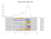 sRNA regions plot